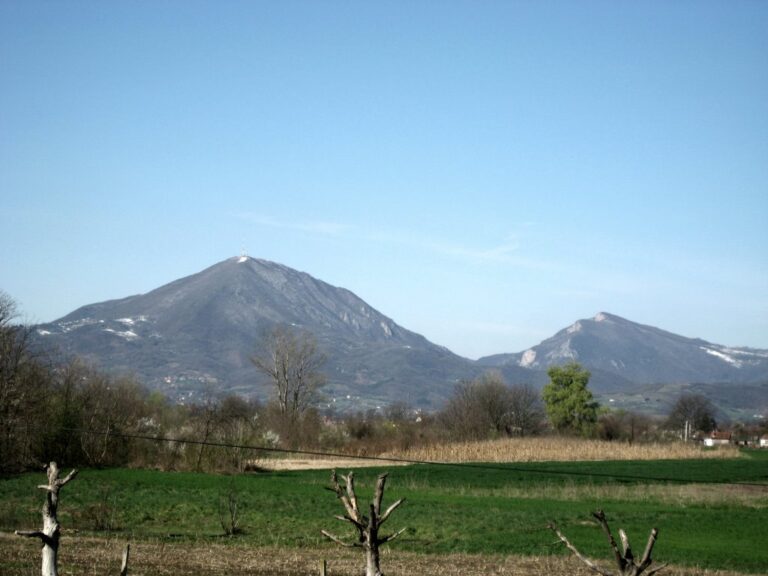čačak