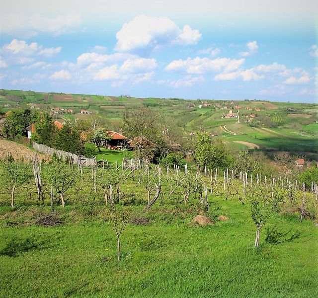 Šumadija