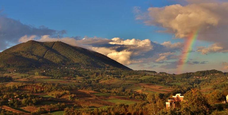 Markovica