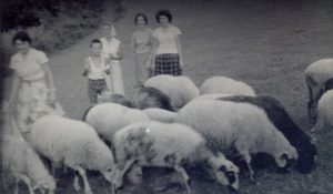 Karaula