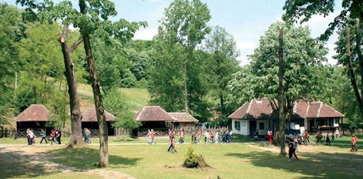 Brankovina
